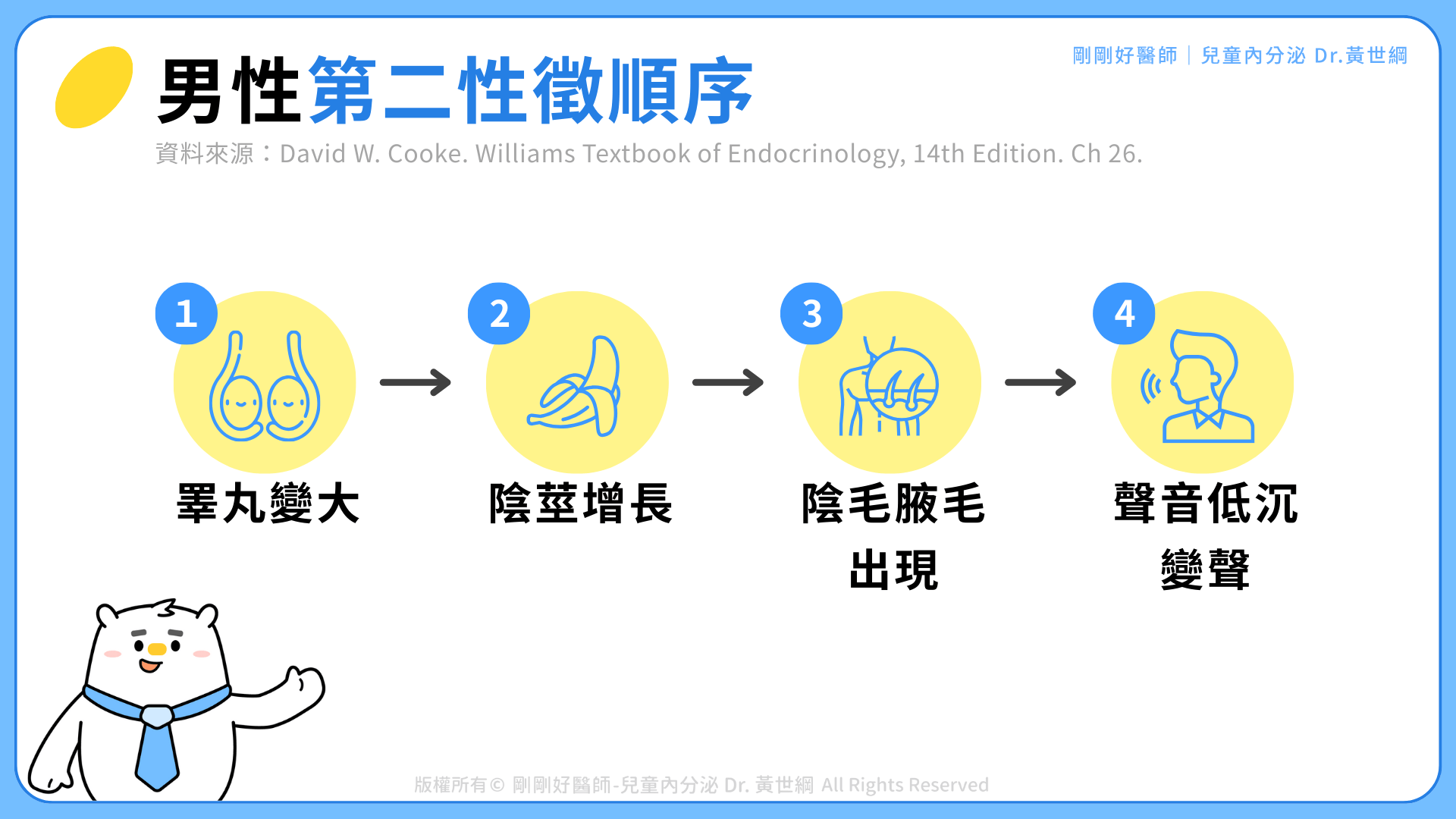 男性第二性徵順序
